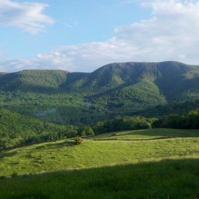 The views from the farm are spectacular; some days we can't believe we get to work here!