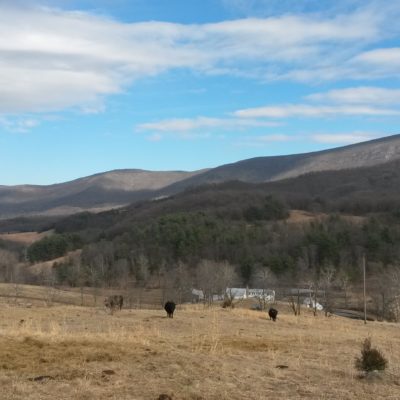 Winters are cold in Virginia, even without snow. The cattle do just fine in the cold winter months eating plenty of delicious hay - but we spend a lot more time indoors!