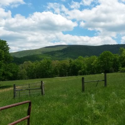 Here we see our first view of the "Hicks" property from the old Hicks barn - the one we're converting into a wedding venue. Can you imagine getting married here, looking out over this?!