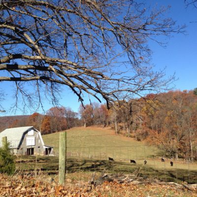 This area is just as beautiful in the fall - maybe more so! A fall wedding, perhaps?