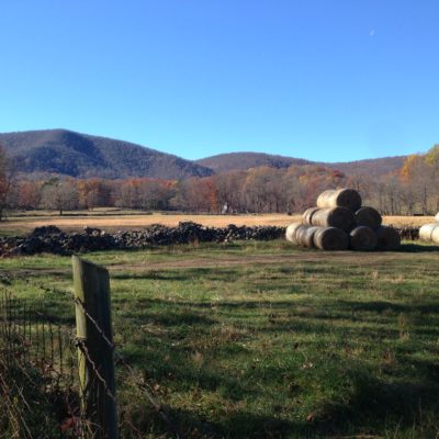 Fall on the farm includes making hay - cutting fresh grass and clover and drying it in a way that allows the cattle to eat it during the cold winter months when the grass goes dormant.