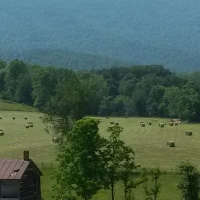 Here we see a view of the "Cardinal" property, one of the three major pieces of land that make up the farm (the other two being "Hicks" and "Main").